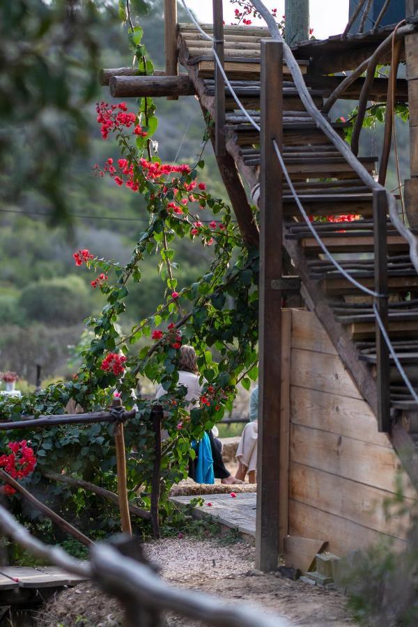 Soul Farm Algarve - Glamping & Farm Houses Aljezur Exterior foto