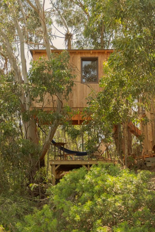 Soul Farm Algarve - Glamping & Farm Houses Aljezur Exterior foto